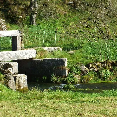 Am Waldrand * Breitenbrunn (Bavaria)